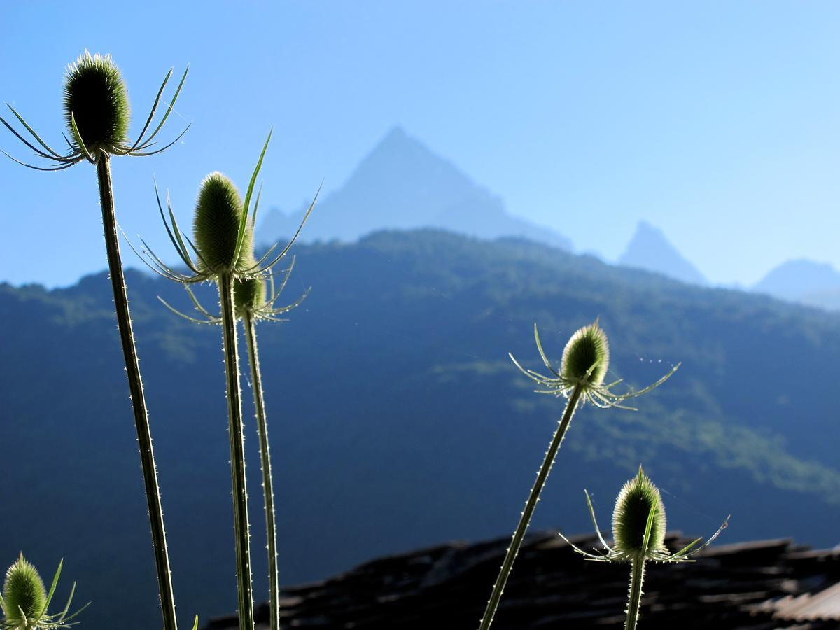 فندق Rifugio Galaberna Ostana المظهر الخارجي الصورة